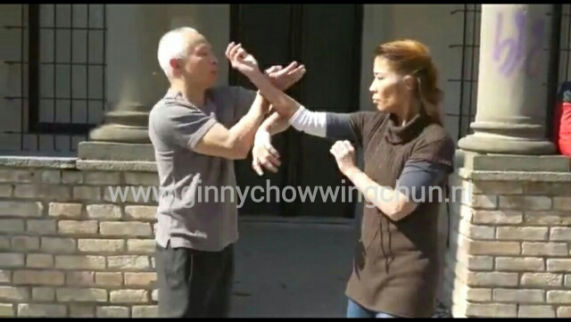 My Teacher/ Sifu "Michael Choi"